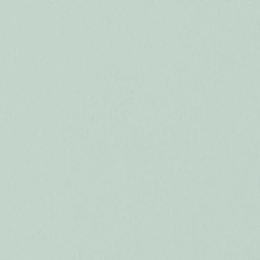 HAY Chairs*Aac 22 Chair | Oak/Dusty Mint