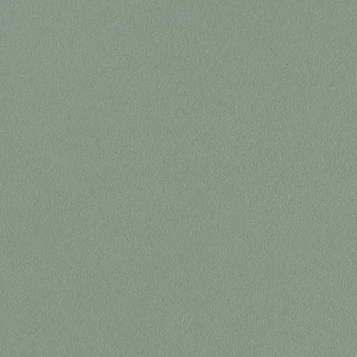 HAY Chairs*Aac 22 Chair | Walnut/Fall Green
